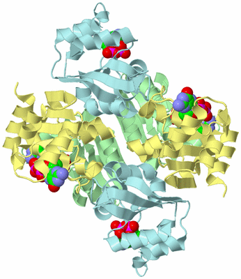 Image Biological Unit 2