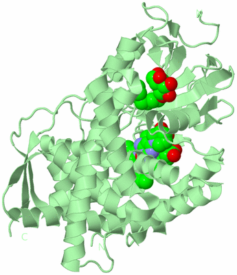 Image Biological Unit 2