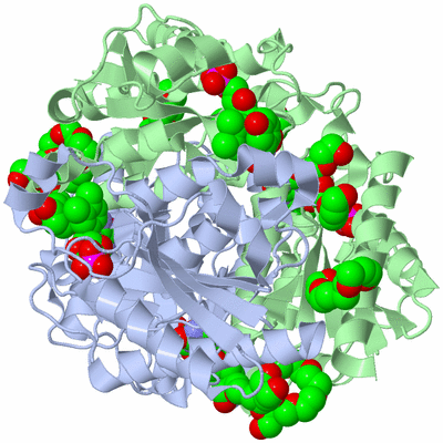 Image Biological Unit 1