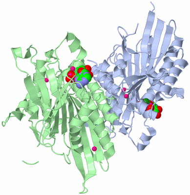 Image Biological Unit 1