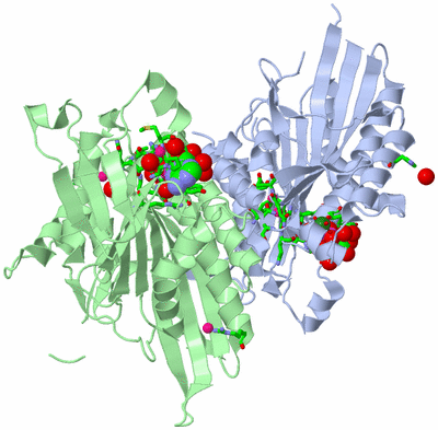 Image Biol. Unit 1 - sites