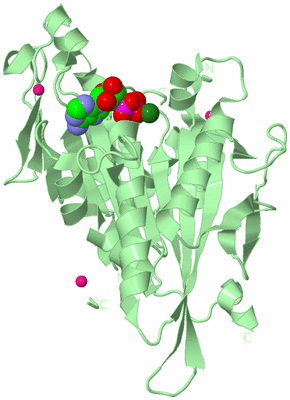 Image Biological Unit 2