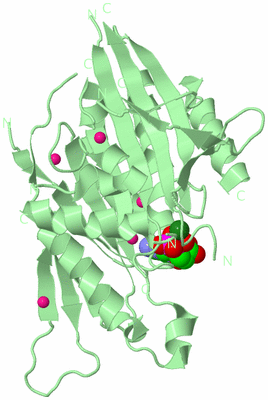 Image Biological Unit 2