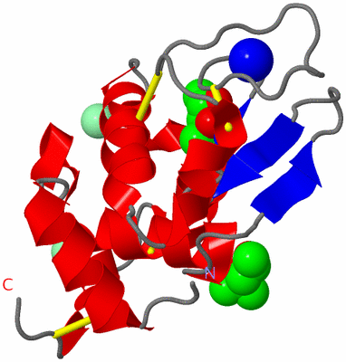 Image Asym./Biol. Unit