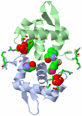 Image Asym./Biol. Unit - sites