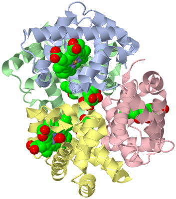 Image Biological Unit 1