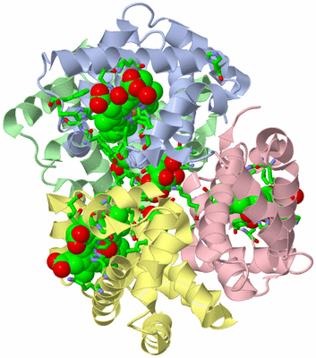 Image Biol. Unit 1 - sites