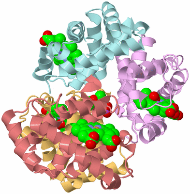 Image Biological Unit 2