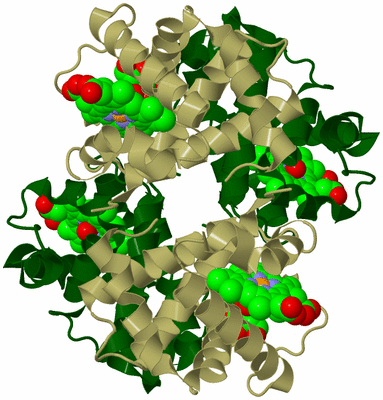 Image Biological Unit 3