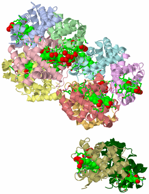 Image Asym. Unit - sites