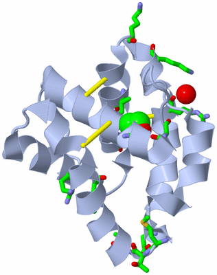 Image Biol. Unit 1 - sites