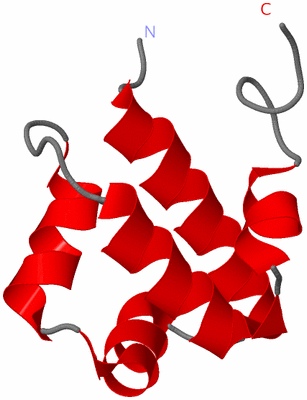 Image Asymmetric Unit