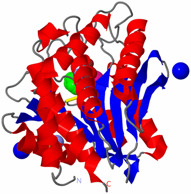 Image Asym./Biol. Unit