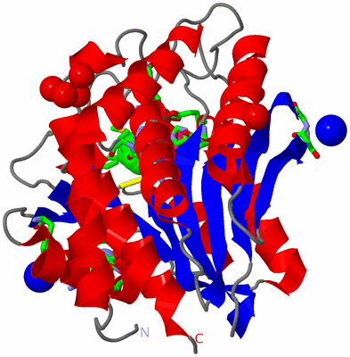 Image Asym./Biol. Unit - sites