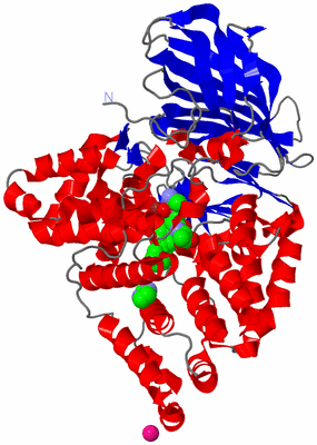 Image Asym./Biol. Unit