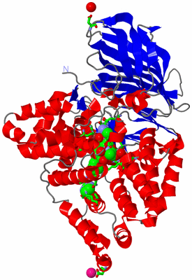 Image Asym./Biol. Unit - sites