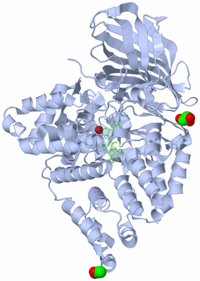 Image Asym./Biol. Unit