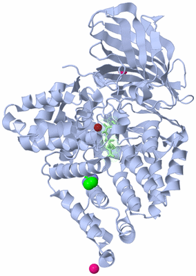 Image Asym./Biol. Unit