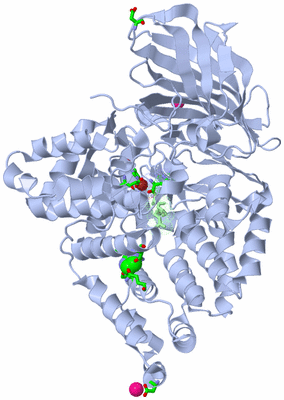 Image Asym./Biol. Unit - sites