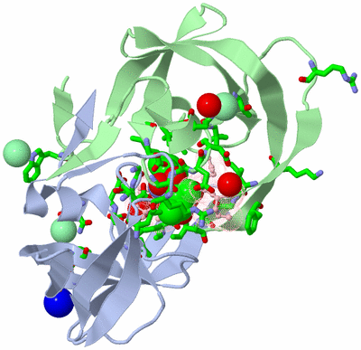 Image Asym./Biol. Unit - sites