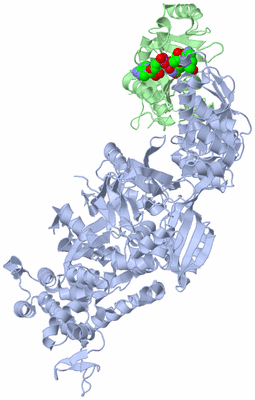 Image Biological Unit 1