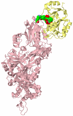 Image Biological Unit 2