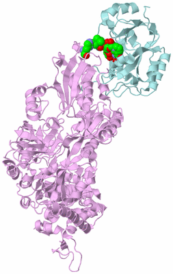 Image Biological Unit 3