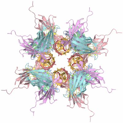 Image Biological Unit 1