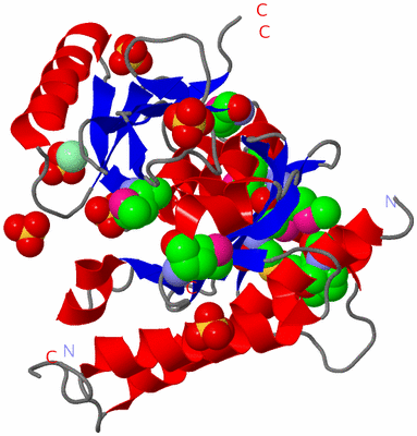 Image Asym./Biol. Unit