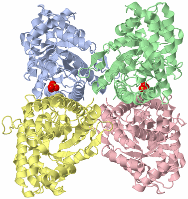 Image Asym./Biol. Unit