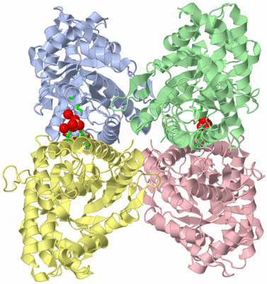 Image Asym./Biol. Unit - sites