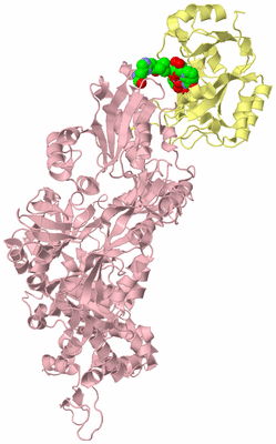 Image Biological Unit 2