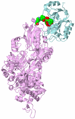 Image Biological Unit 3