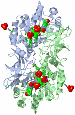 Image Biol. Unit 1 - sites