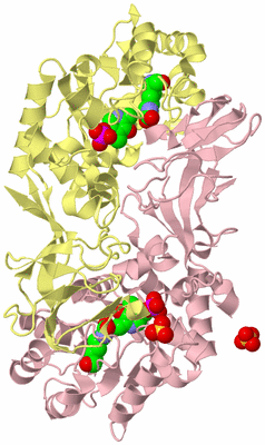 Image Biological Unit 2