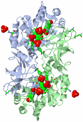 Image Biol. Unit 1 - sites