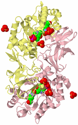 Image Biological Unit 2