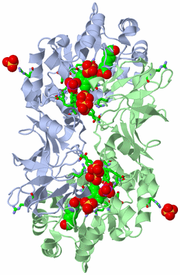 Image Biol. Unit 1 - sites