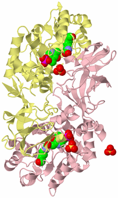 Image Biological Unit 2