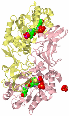 Image Biological Unit 2