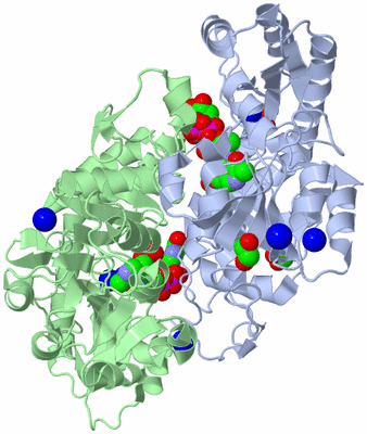 Image Asym./Biol. Unit