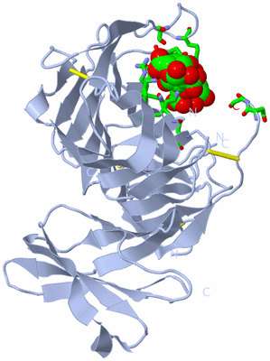 Image Biol. Unit 1 - sites