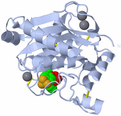 Image Biological Unit 1