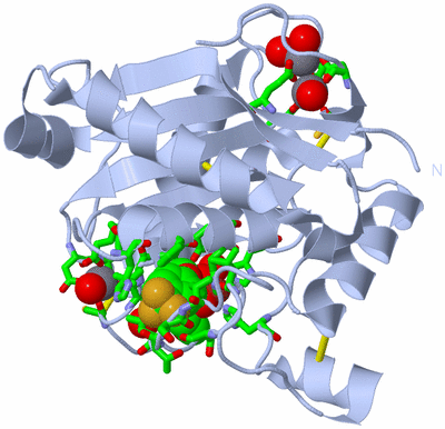 Image Biol. Unit 1 - sites