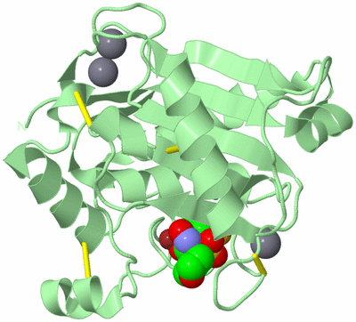 Image Biological Unit 2