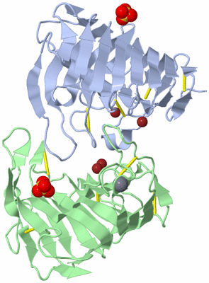 Image Biological Unit 3