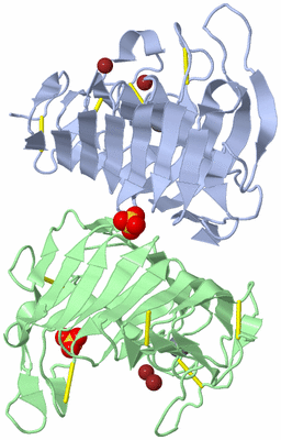 Image Biological Unit 4