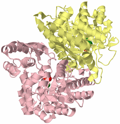 Image Biological Unit 2