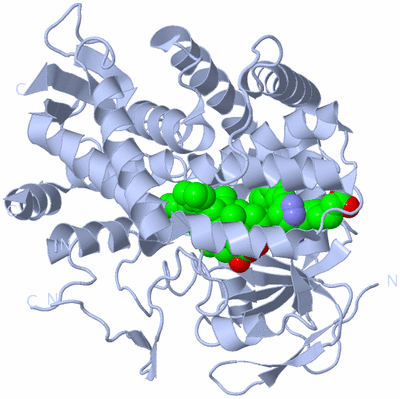 Image Biological Unit 1