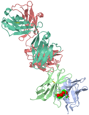 Image Biol. Unit 1 - sites